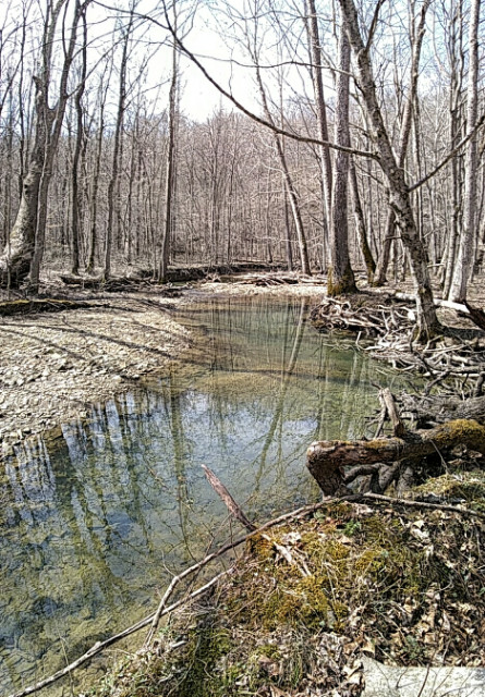 A fine swimming hole.